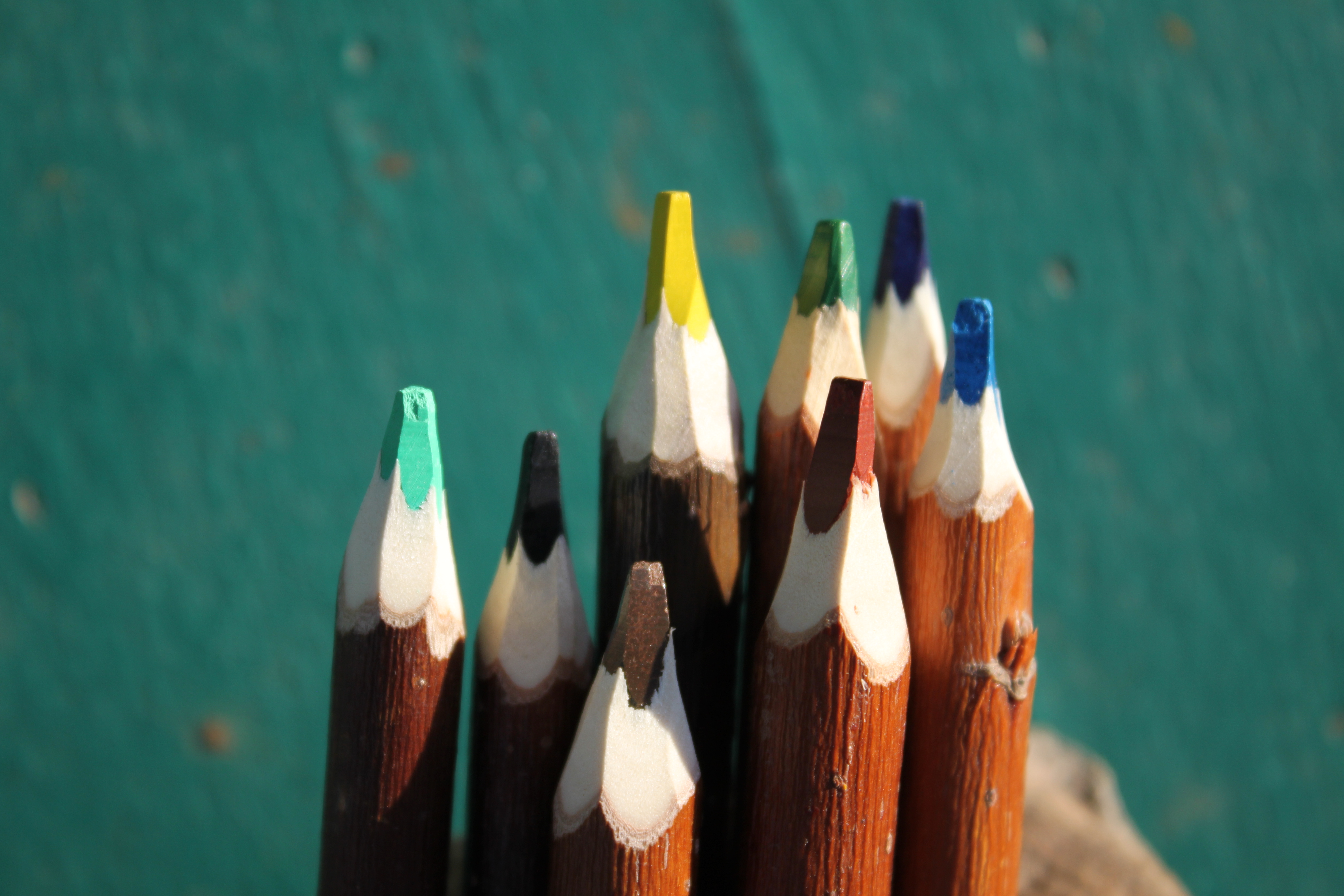 OT MORCENX_8 couleurs d hiver_Atelier du crayon_Lesperon