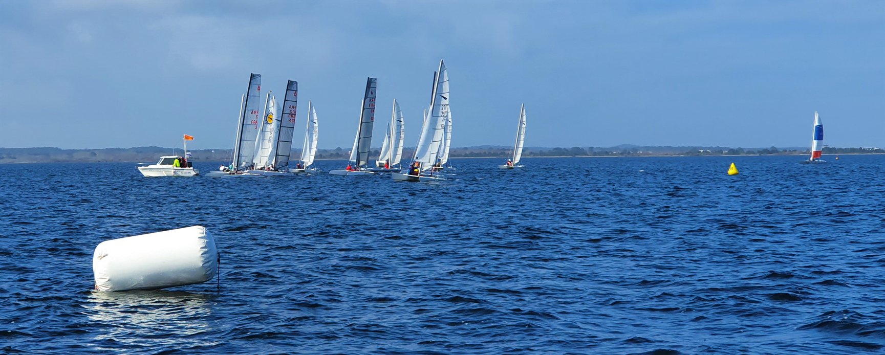 Voilevoile