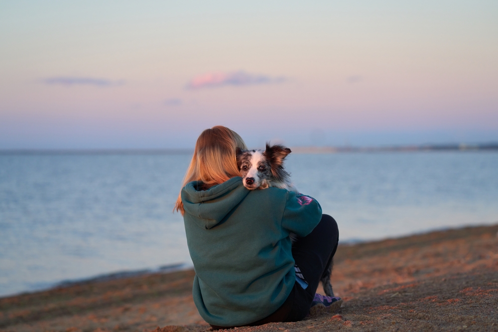 Calin chien avec son propriétaire