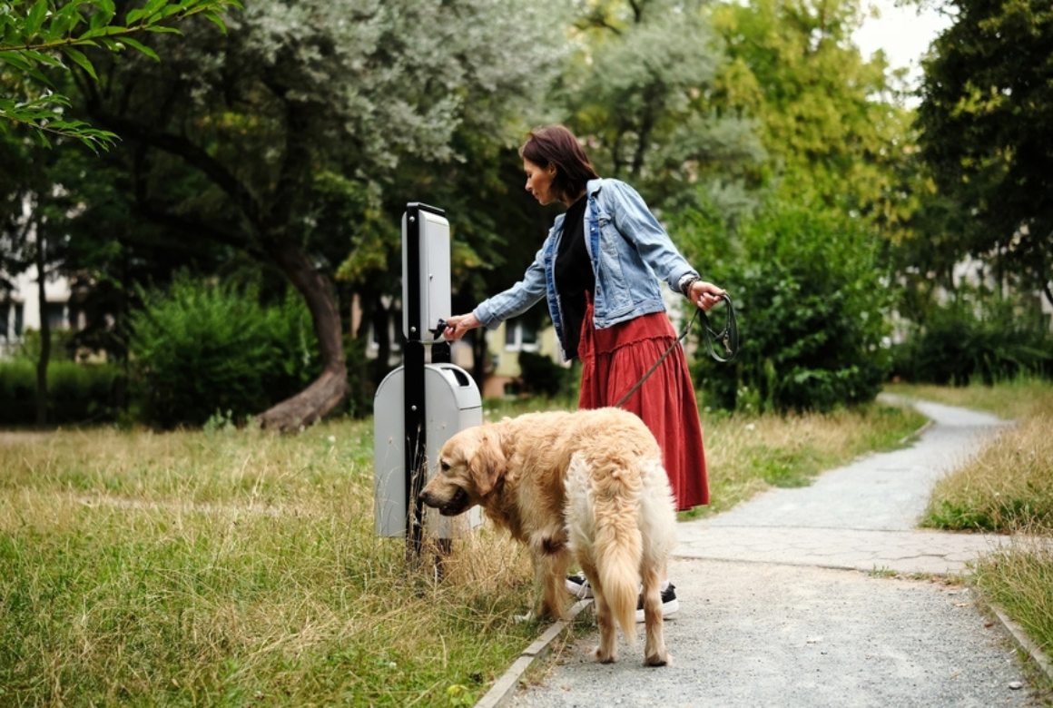 Chien et propreté