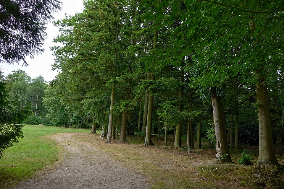 Arboretum d'Harcourt
