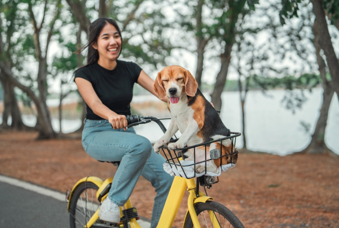 Balade en vélo sur la promenade