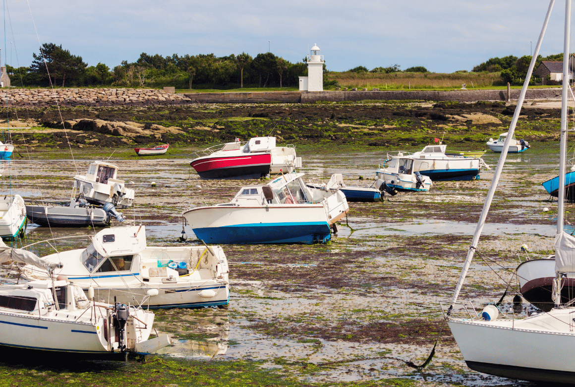 Barfleur maree basse