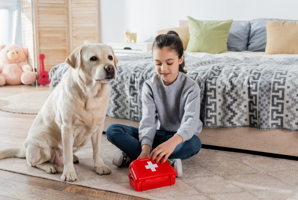Trousse de soins pour chien