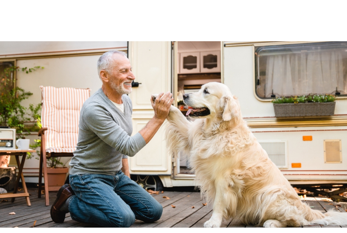 Camping car et chien