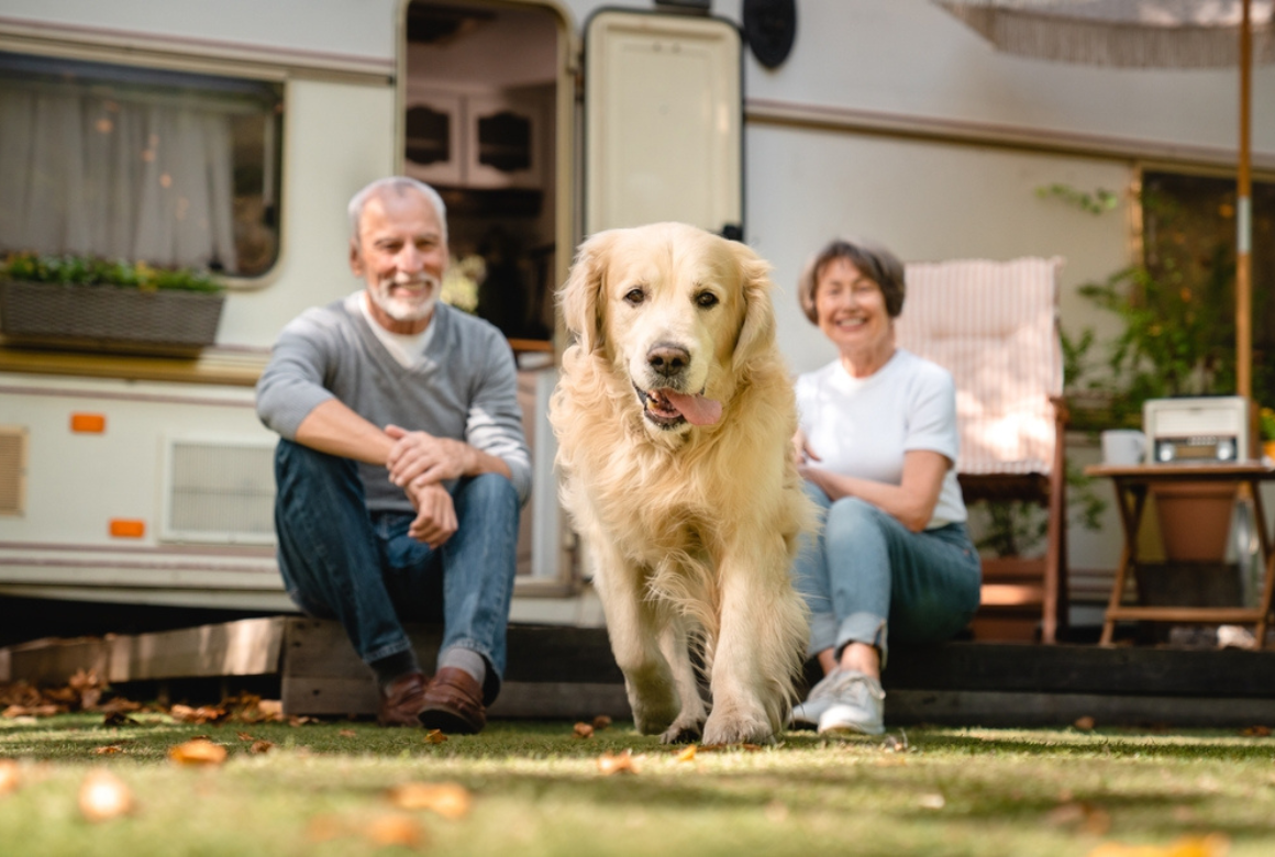 Voyage en camping car avec son chien