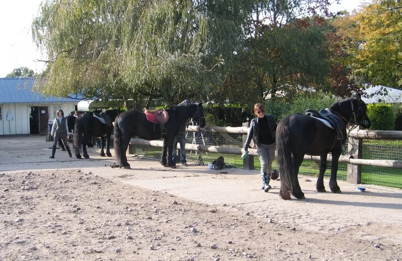 Centre équestre La Cavale Merens