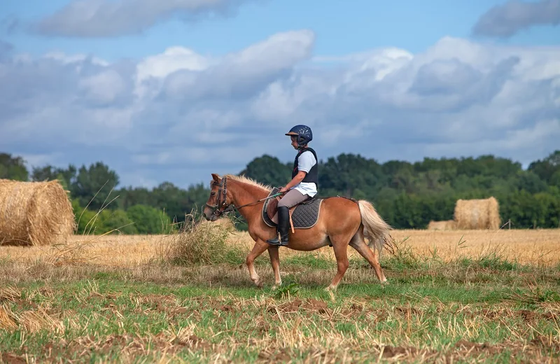 Centre équestre Les Chevaux de Saint Victor