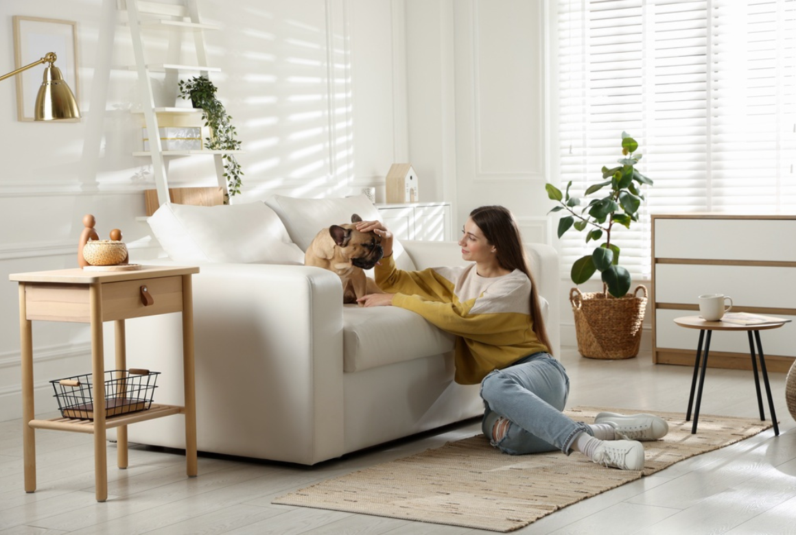 Chien dans un appartement