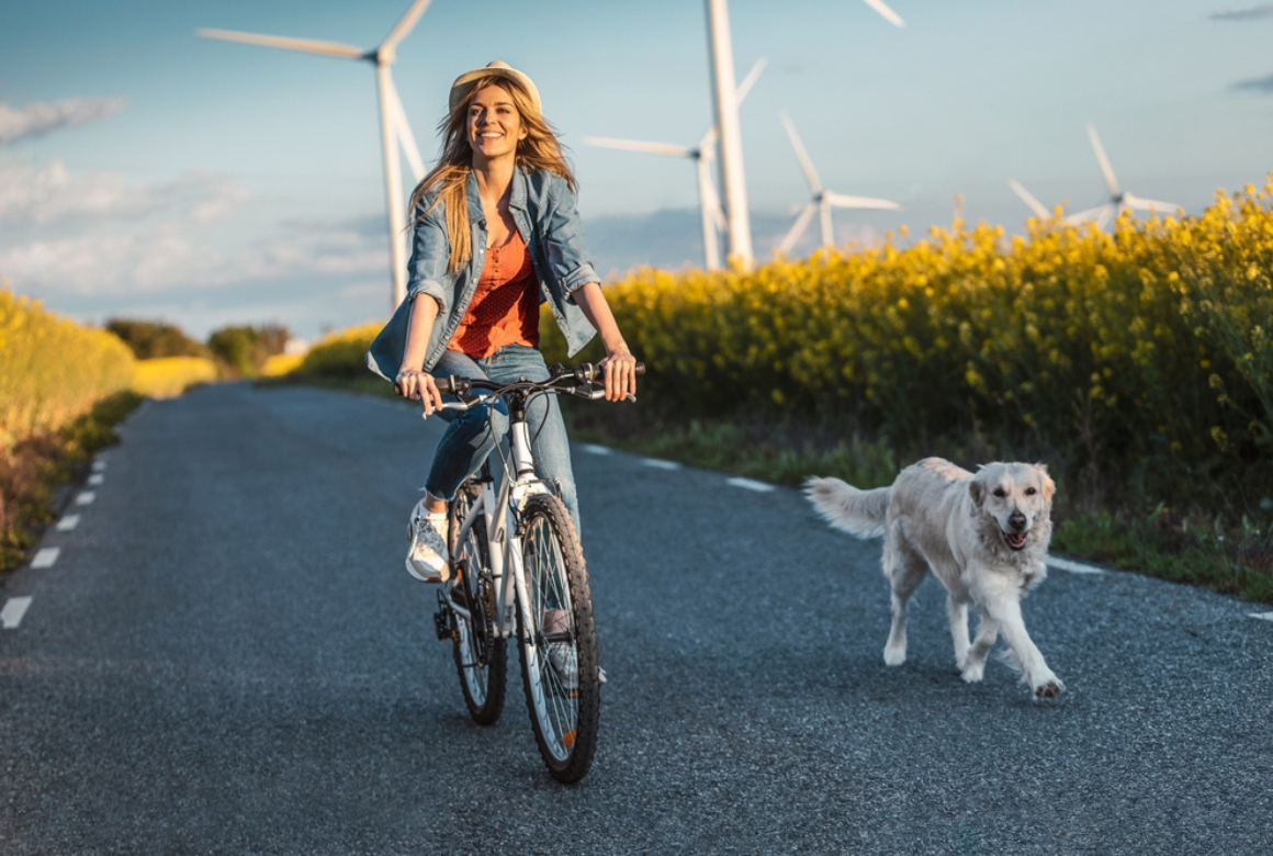 Balade à vélo avec son chien