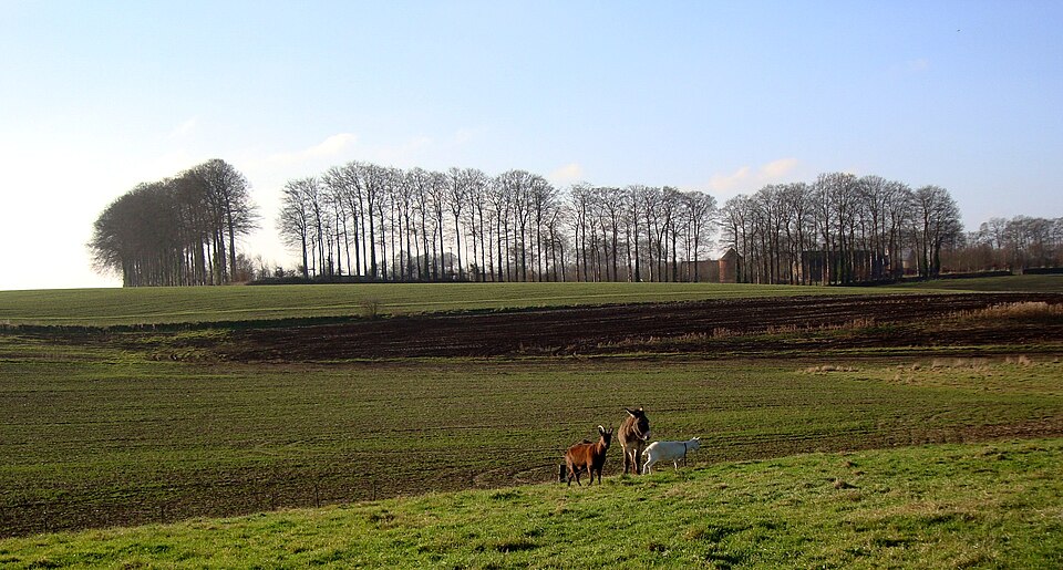 Clos-masures du Pays de Caux