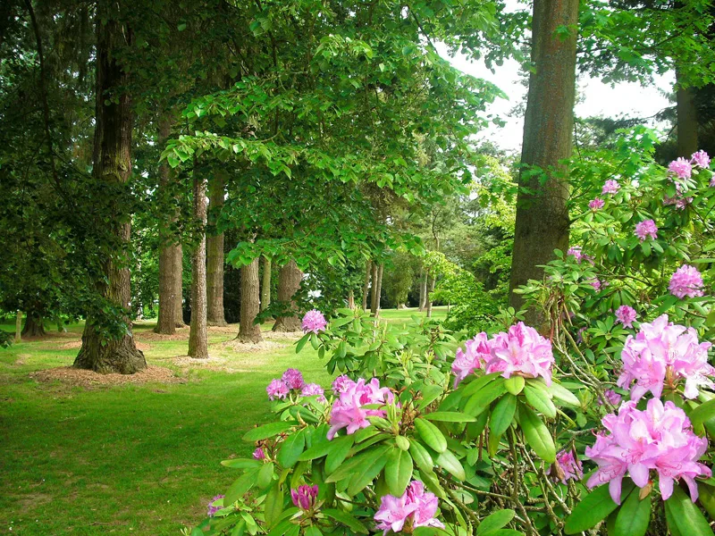 Domaine d'Harcourt