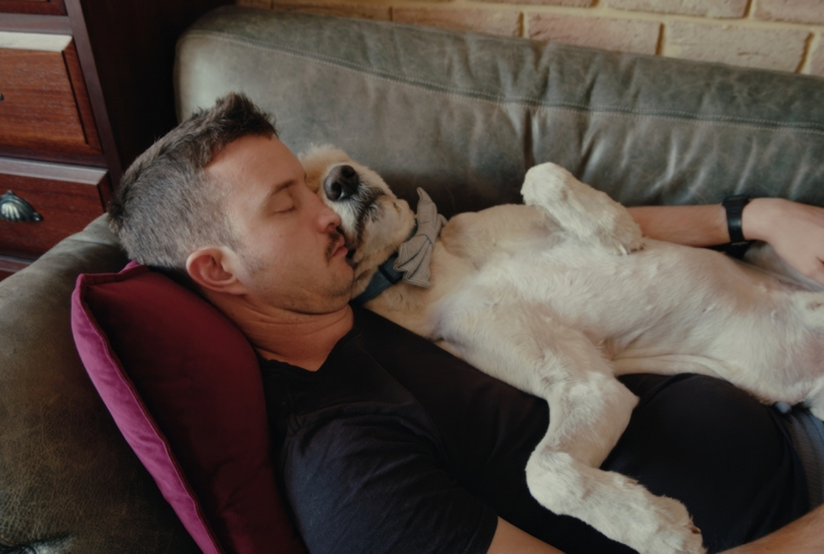 Chien qui dort avec son maitre