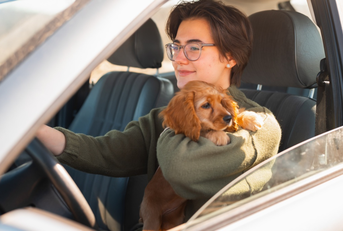 En voiture avec son chien