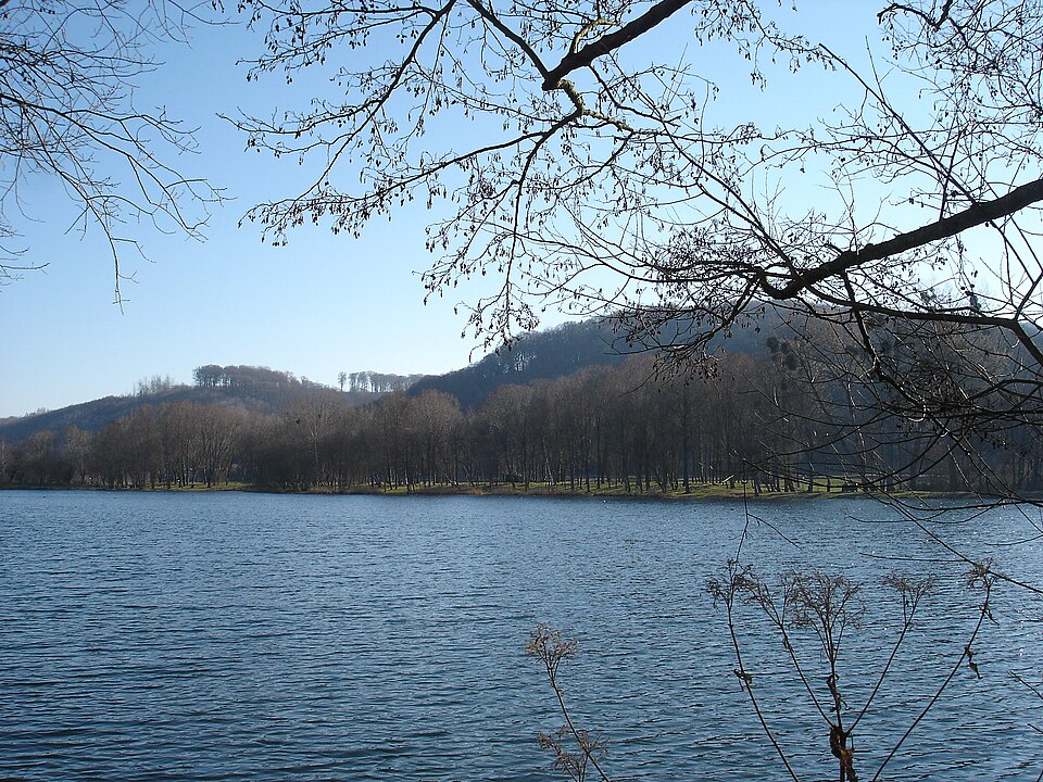 Etang_de_la_vallée_de_la_Bresle_à_Ponts-et-Marais