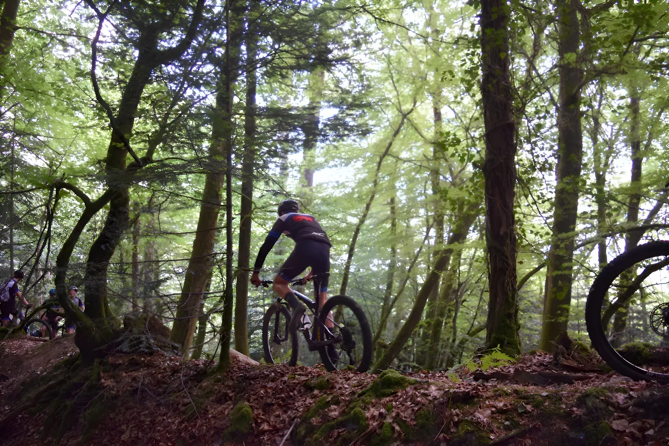 Forêt Domaniale de Valcongrain