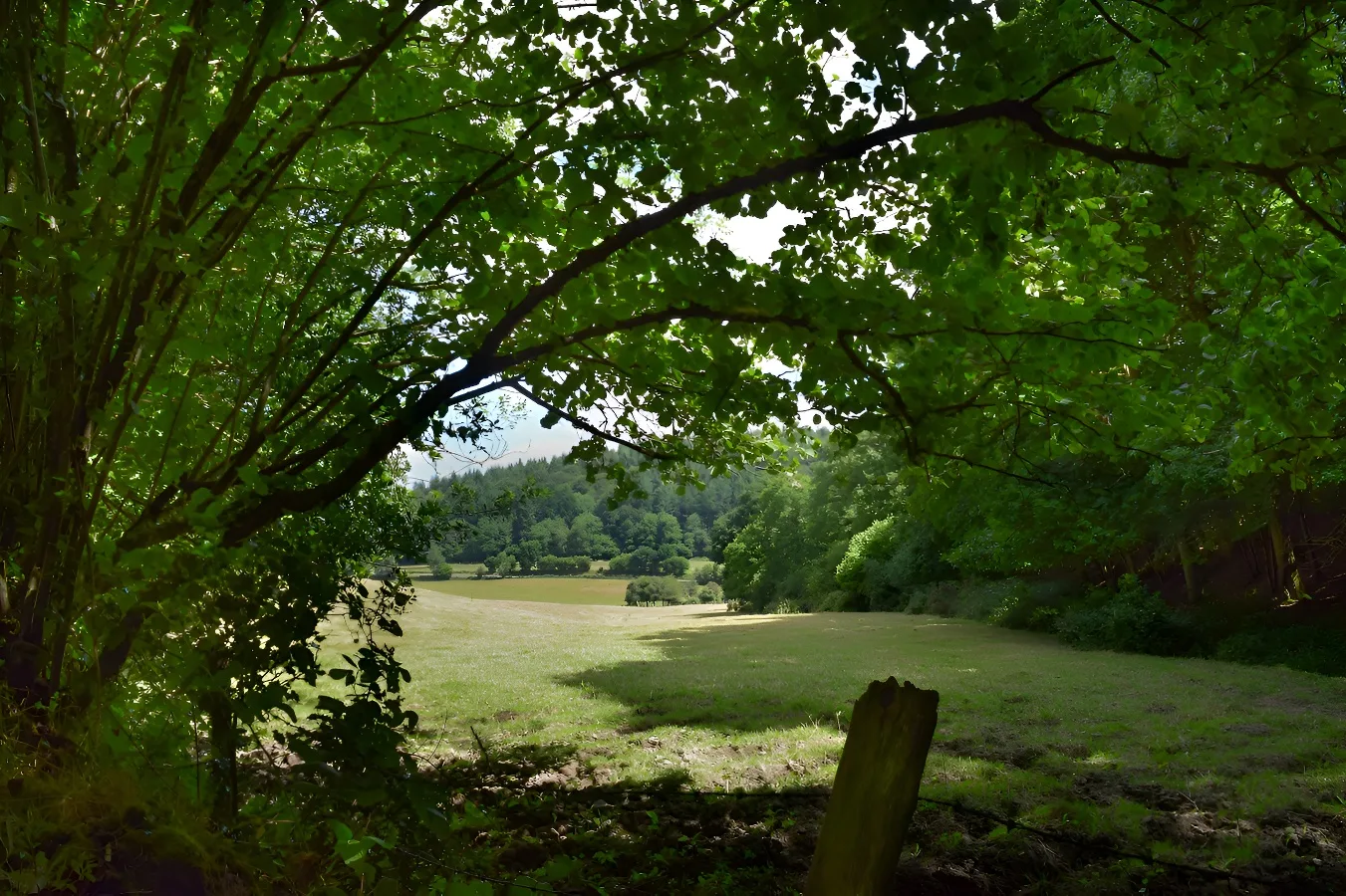 Forêt Domaniale de Valcongrain