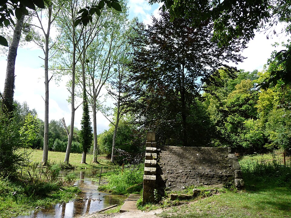 Forêt domaniale de Lyons