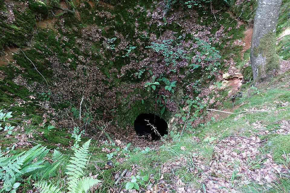Forêt_d'Eawy_puits_merveilleux