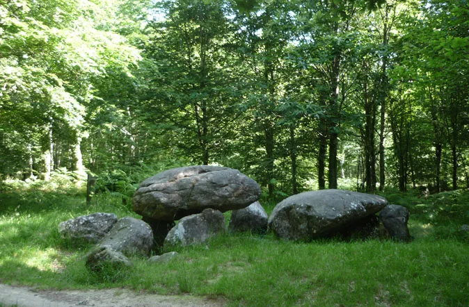 Forêt Domaniale de Fougères