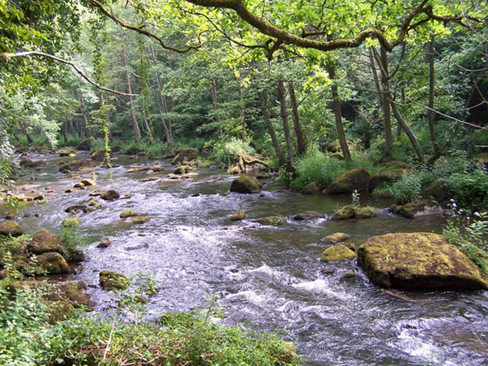 Gorges de la Rouvre Saint Philber-sur-Orne