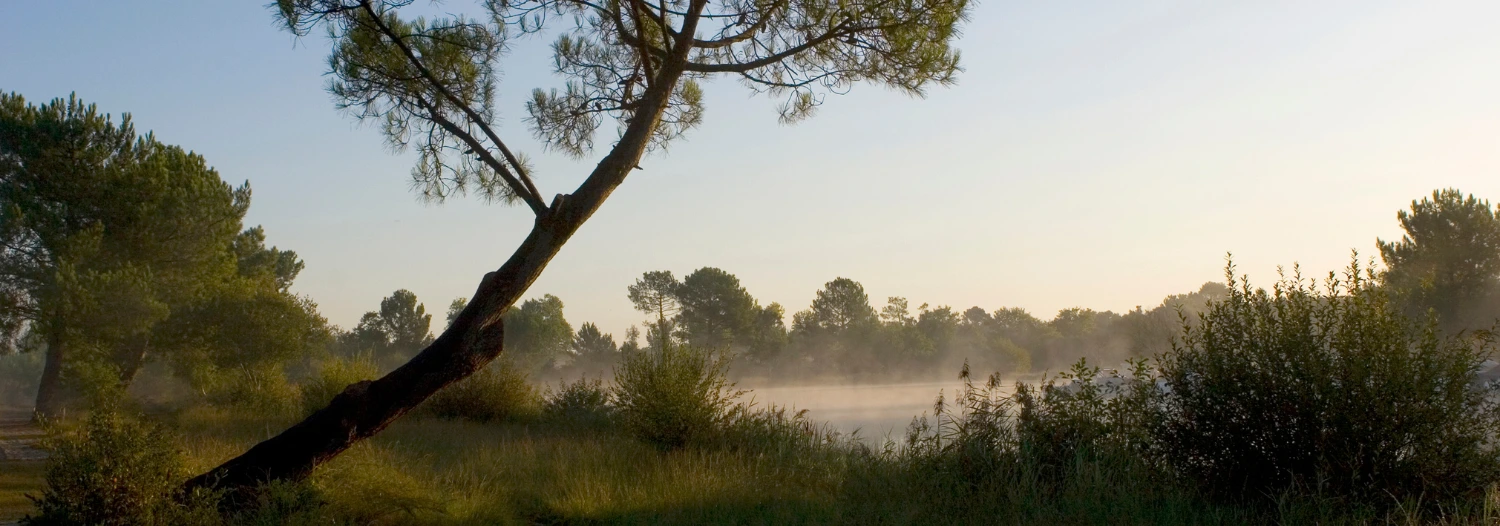 Guide des Landes - Sommaire - Bienvenue
