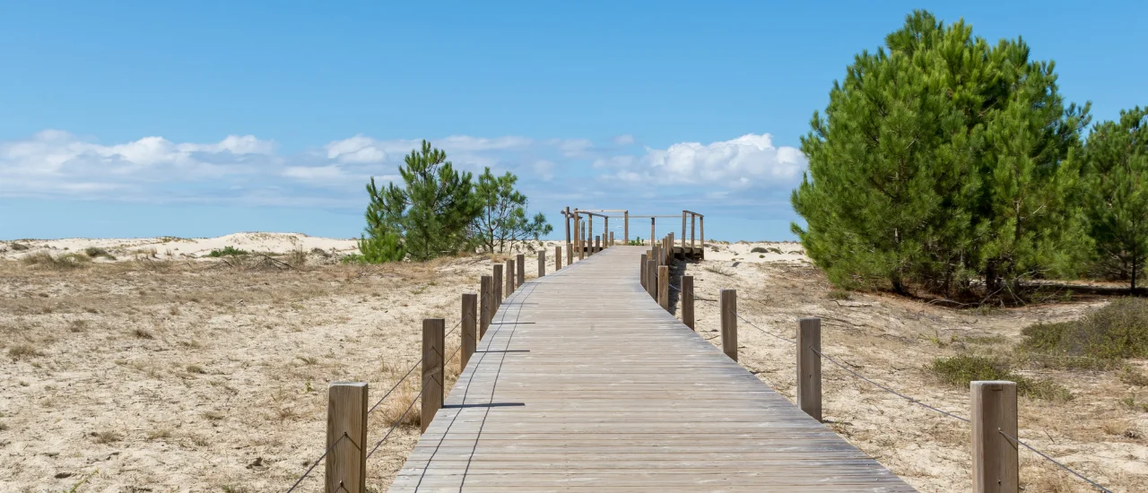 Biscarrosse - Dunes
