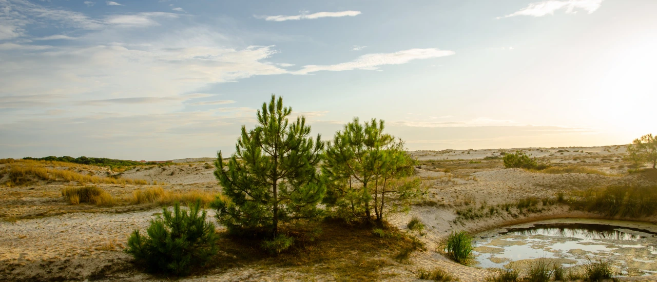 Blog - Climat des Landes