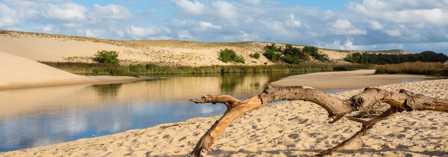 Guide des Landes - Sommaire - Incontournables