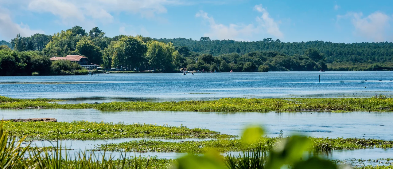 Léon - Lac de Léon