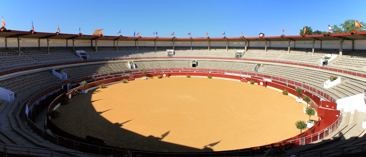 Mont-de-Marsan - Arènes du Plumaçon