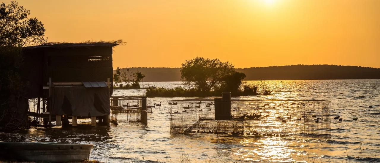 Parentis-en-Born - Coucher de soleil sur le lac