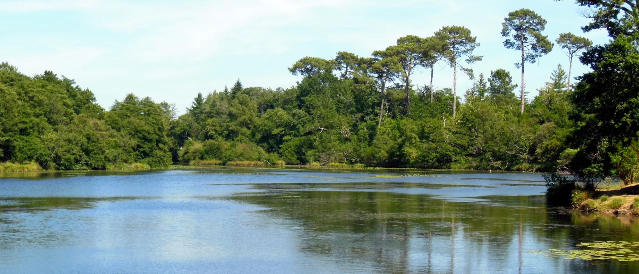 Pontenx-les-Forges - Etang des Forges
