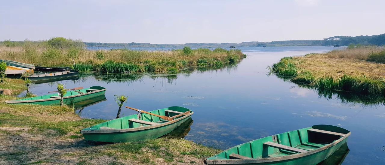 Seignosse - Etang Blanc