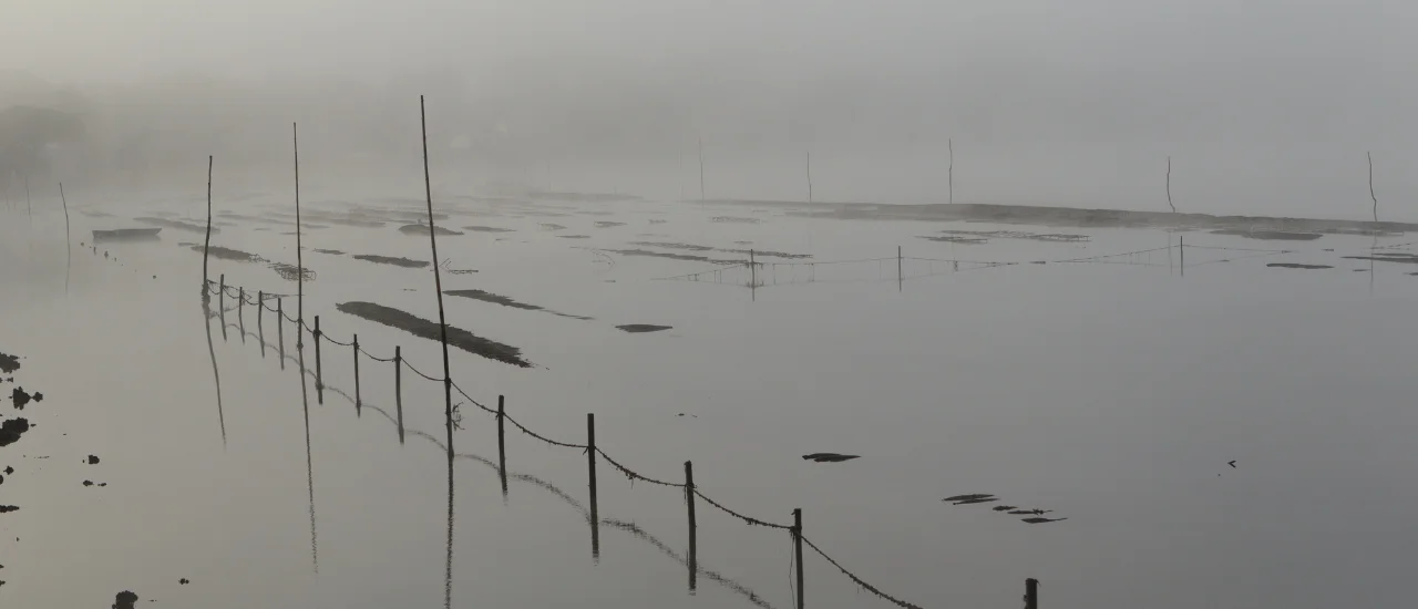 Soorts-Hossegor - Brouillard sur un parc d'huîtres