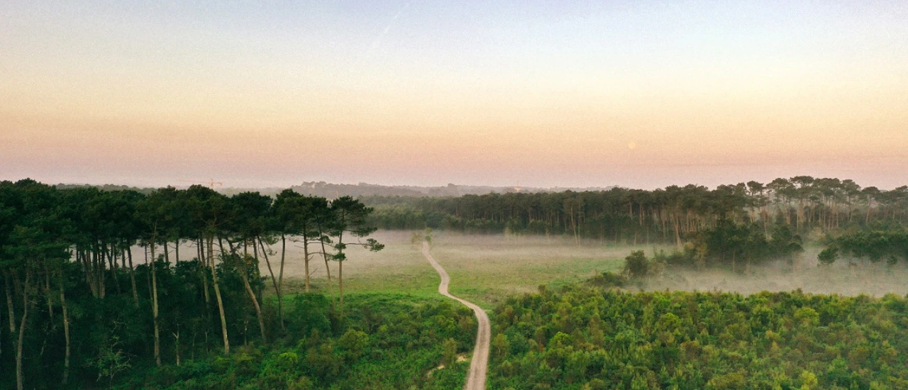 Soustons - Forêt des Landes