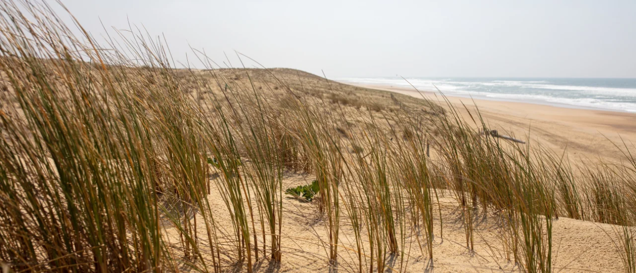 Vieux-Boucau-les-Bains - Dunes de sable