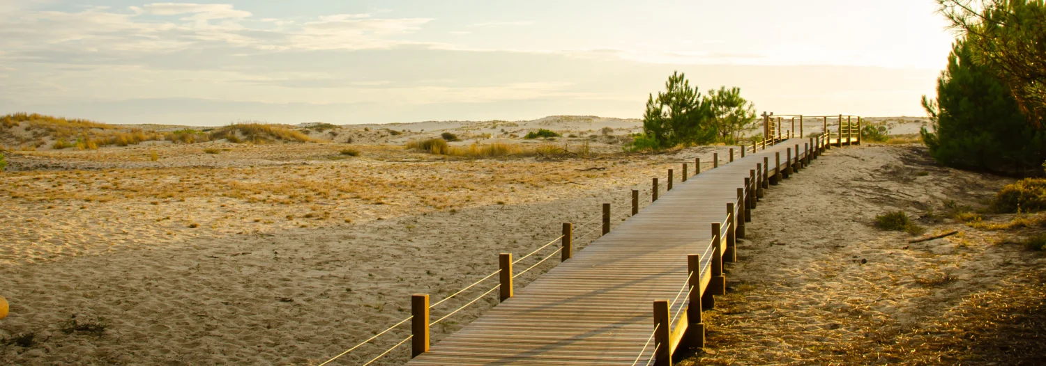 Guide des Landes - Sommaire - Voyager responsable