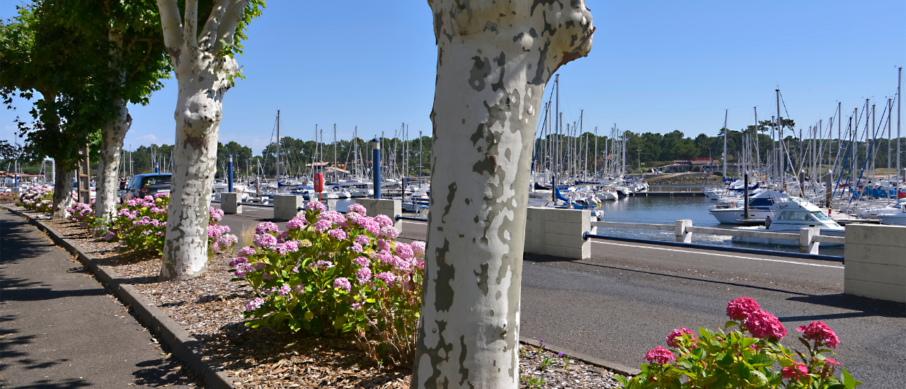 Capbreton - Port