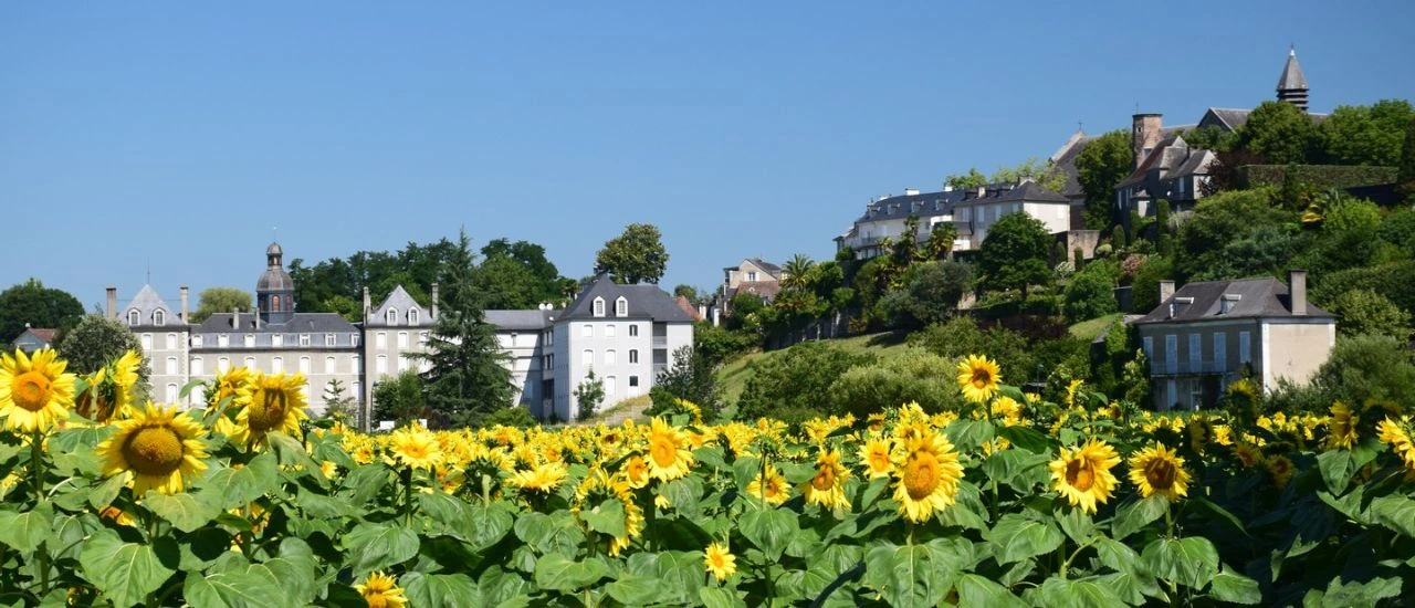 Lescar - Vue en contre-bas