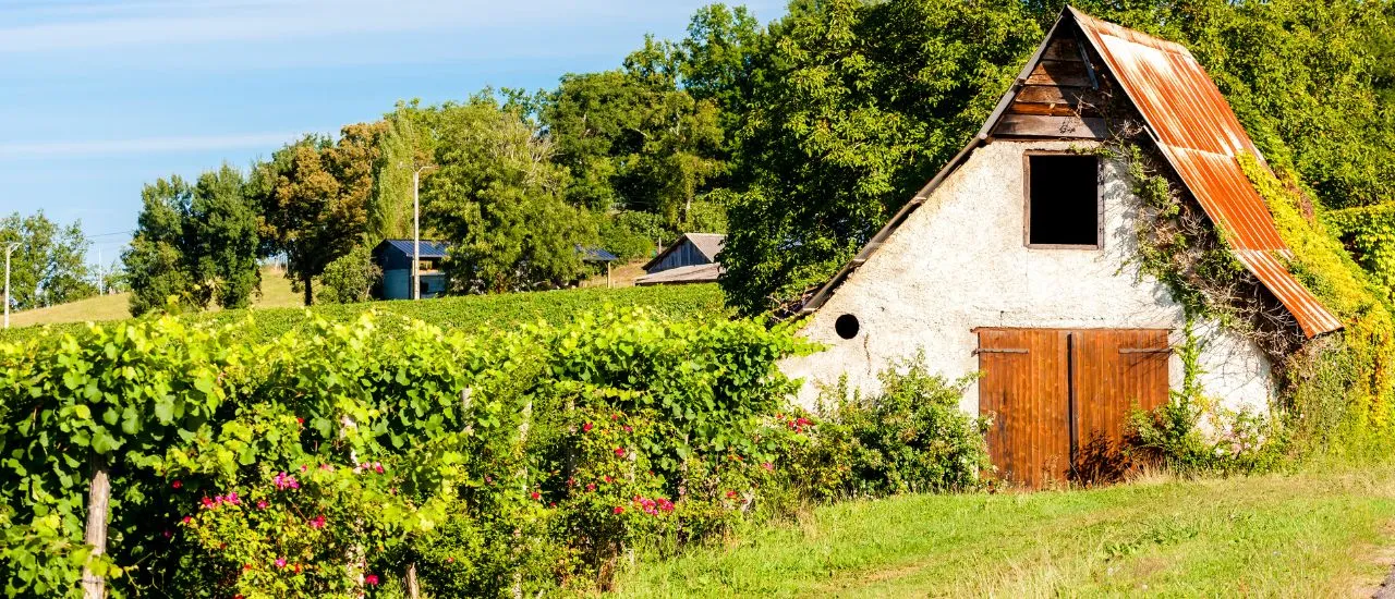 Jurançon - Maison au milieu des vignes
