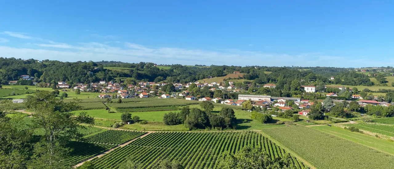 Cambo-les-Bains - Vue aérienne