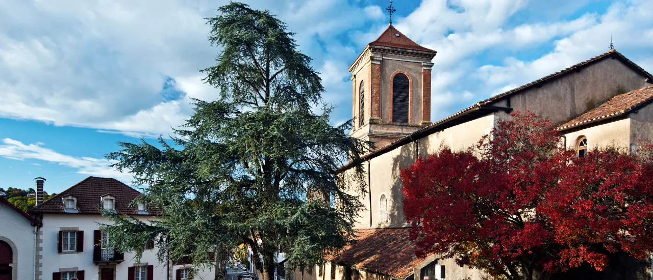 La Bastide-Clairence - Eglise 2