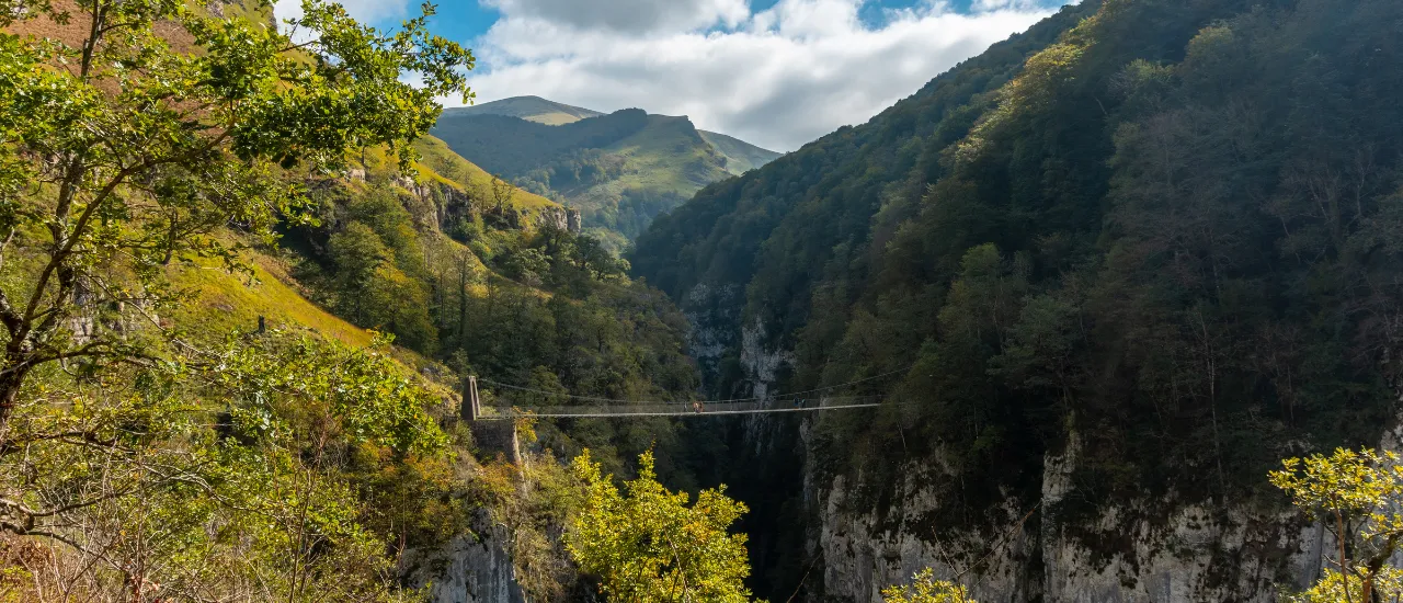 Larrau - Passerelle d'Holzarte