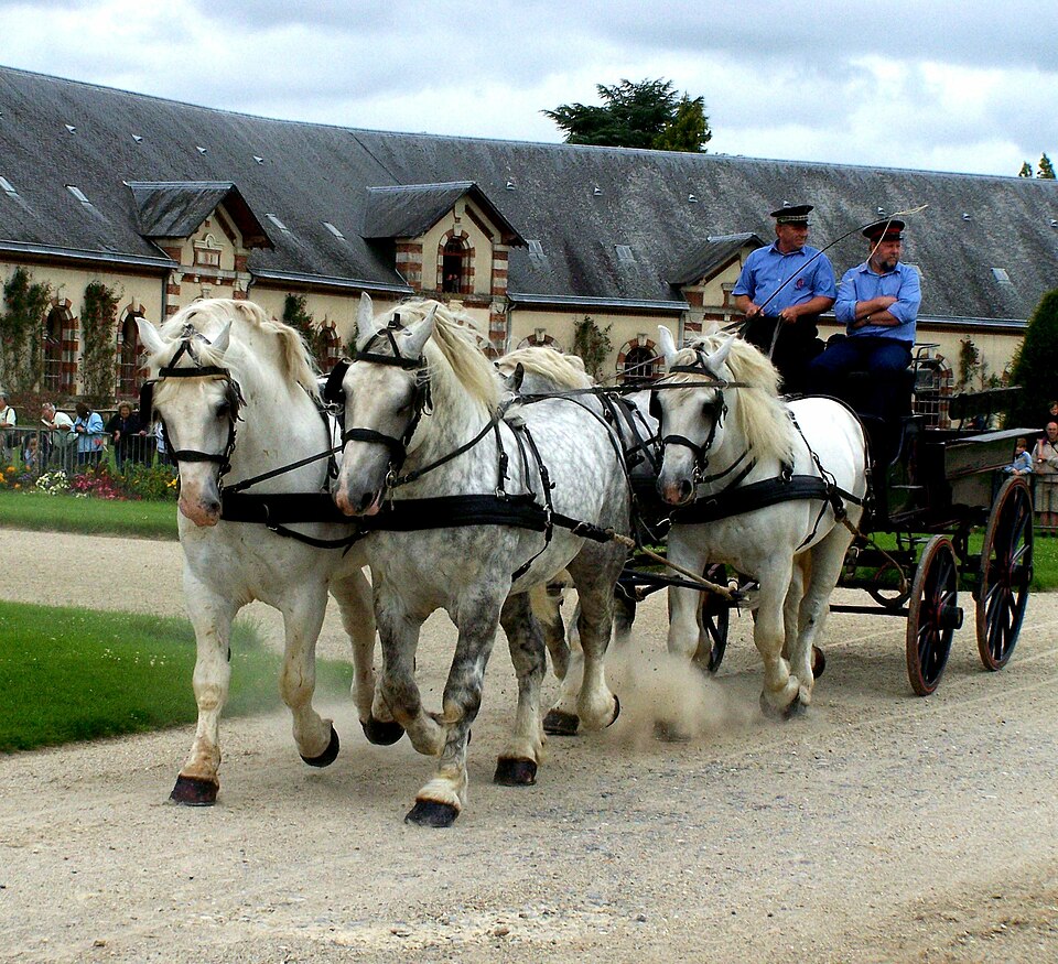 Haras national de Saint Lô