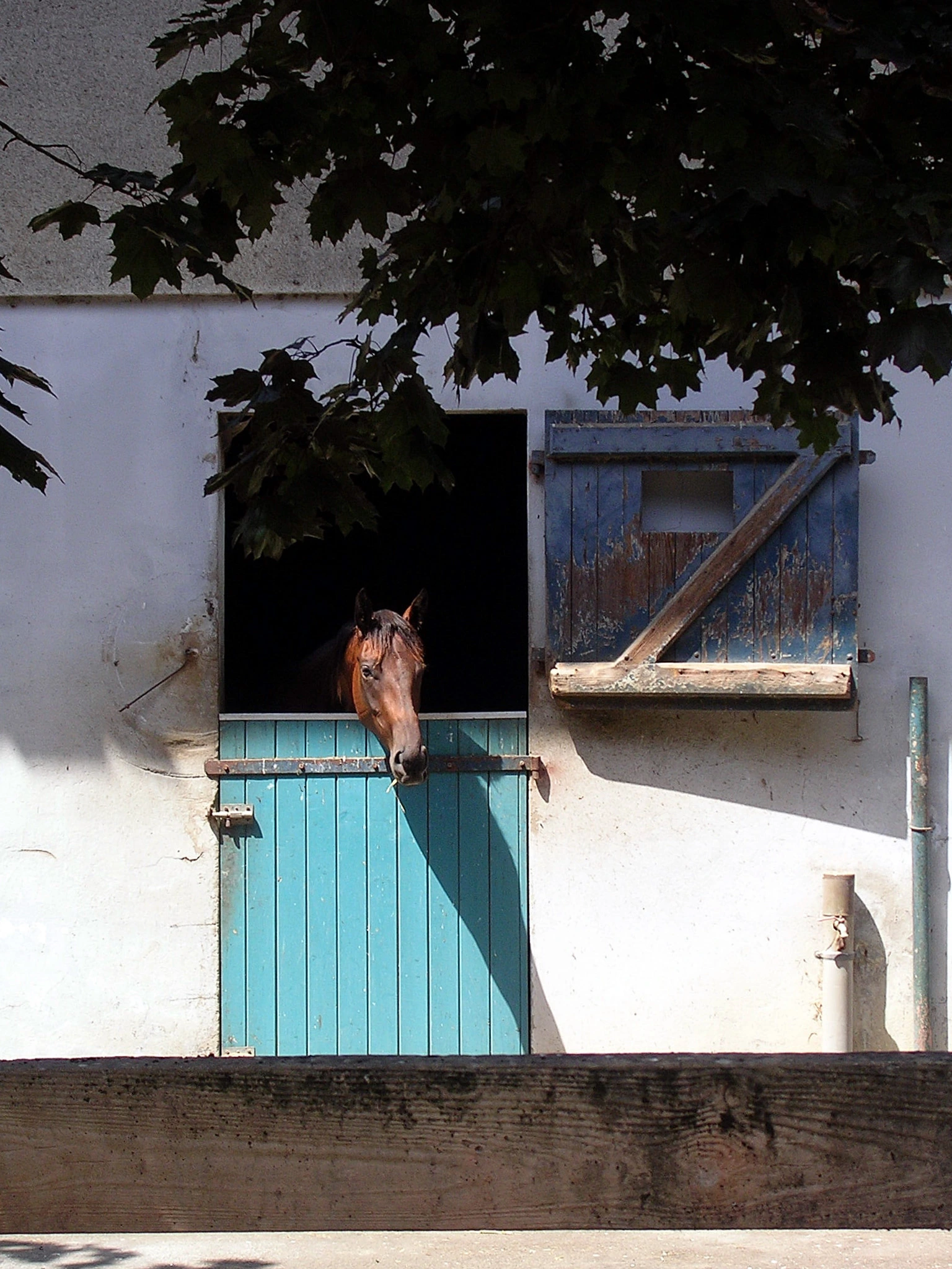 Hippodrome de Mont de Marsan - 2