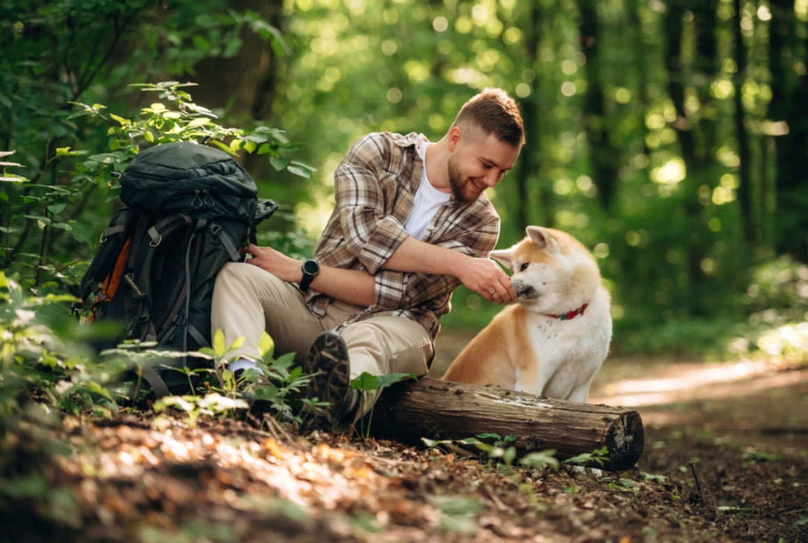 En itinérance avec son chien
