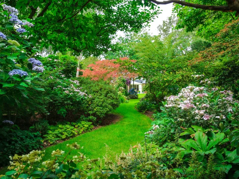 Jardin Les Hêtres