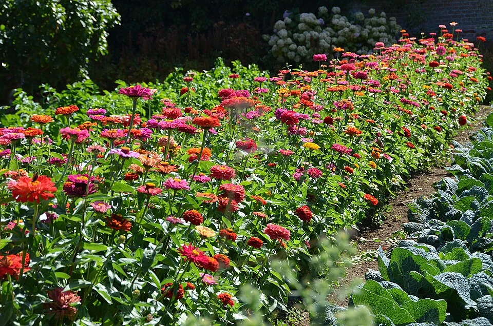 Jardin Potager du Château de Miromesnil