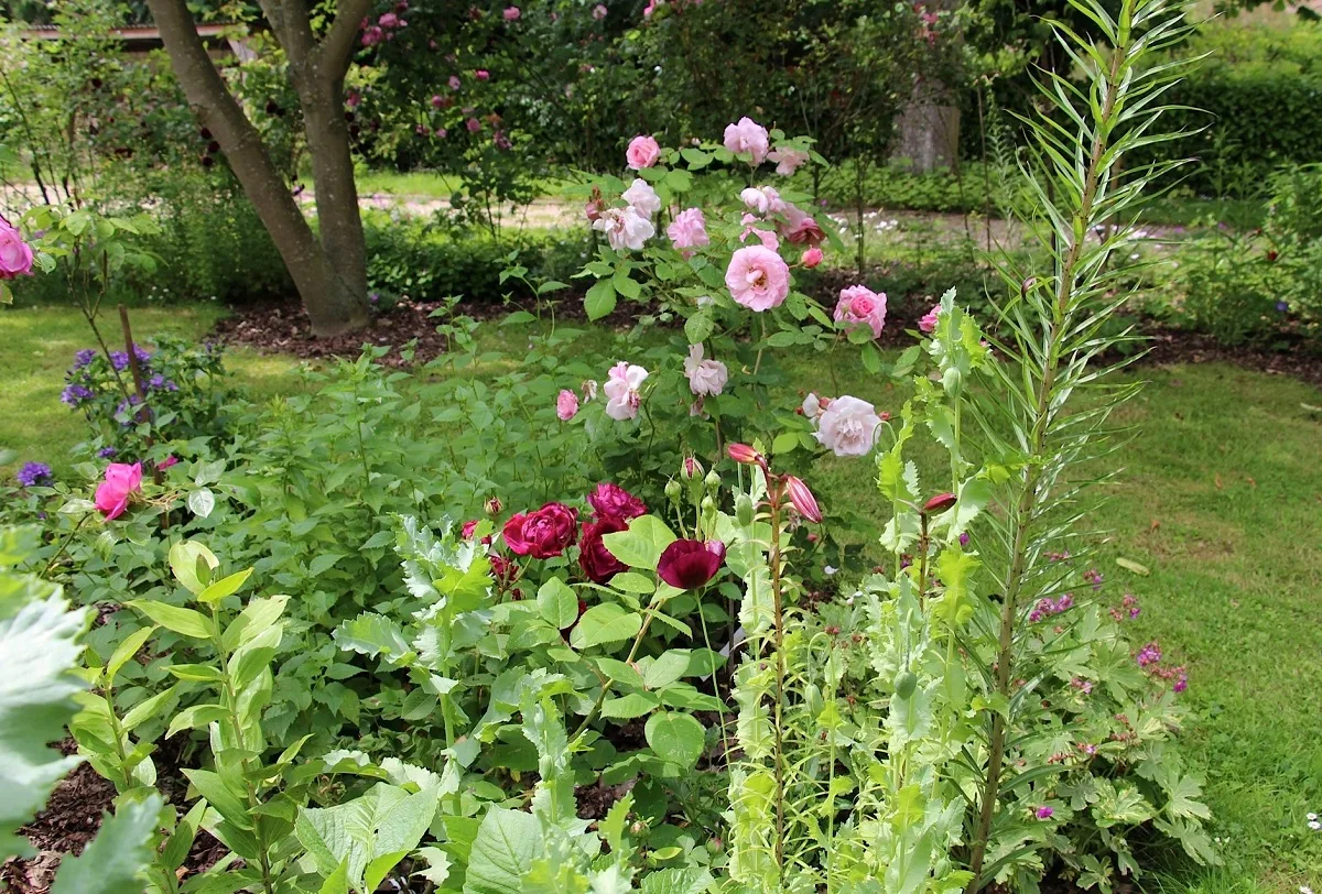 Jardin-Roseraie Chasse Spleen